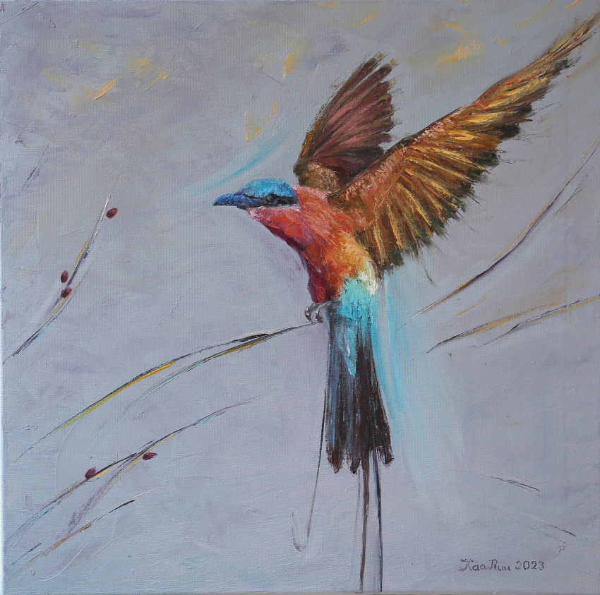 Paradise bird, oilpainting 50x50cm