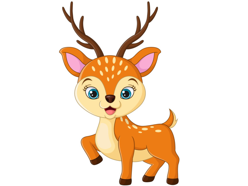 Cute deer